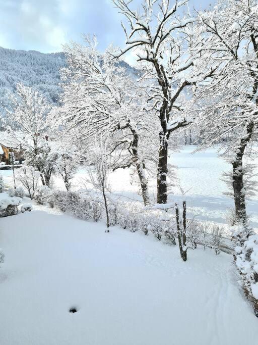 Appartement Le D12 Samoëns Exteriör bild
